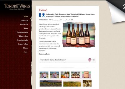 Tondre Wines 2012 Website Screenshot